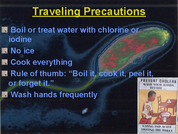 Traveling Precautions Boil or treat water with chlorine or iodine No ice Cook everything