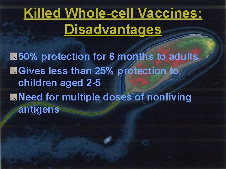 Killed Whole-cell Vaccines: Disadvantages 50% protection for 6 months to adults Gives less than