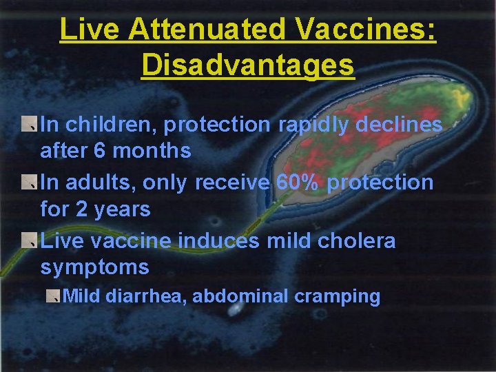 Live Attenuated Vaccines: Disadvantages In children, protection rapidly declines after 6 months In adults,