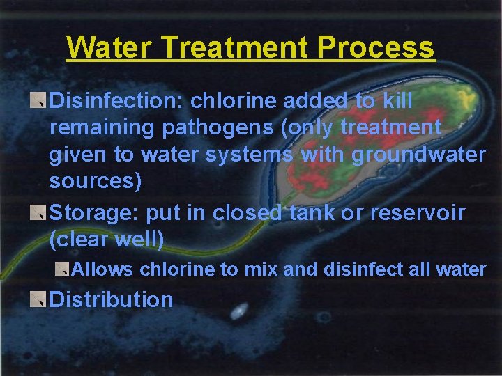 Water Treatment Process Disinfection: chlorine added to kill remaining pathogens (only treatment given to