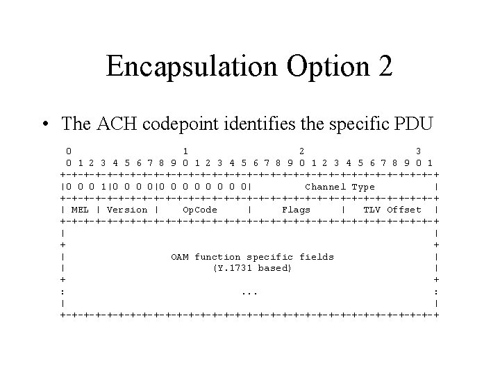 Encapsulation Option 2 • The ACH codepoint identifies the specific PDU 0 1 2