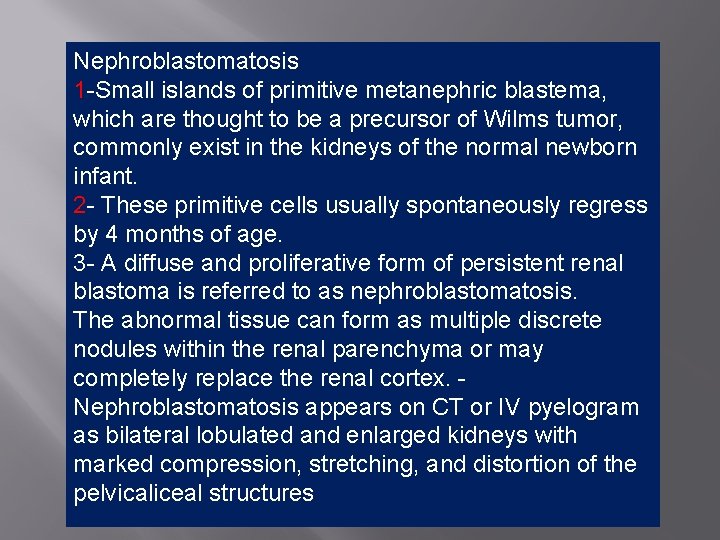 Nephroblastomatosis 1 -Small islands of primitive metanephric blastema, which are thought to be a