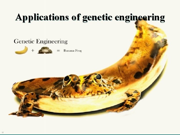 Applications of genetic engineering 