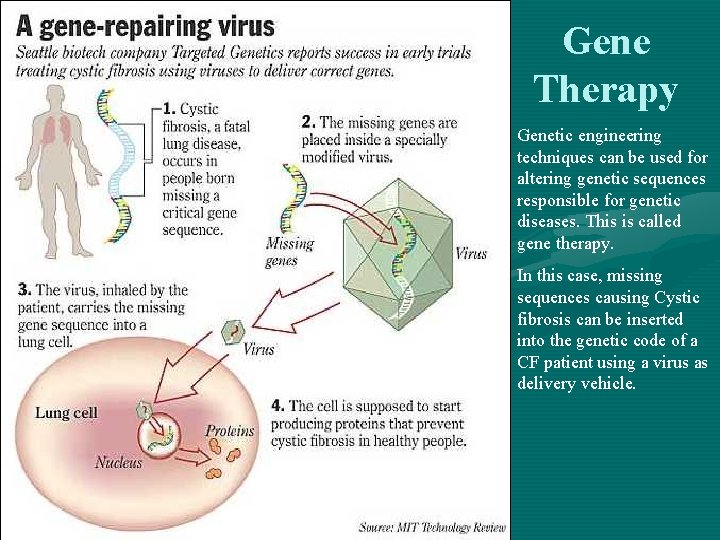 Gene Therapy Genetic engineering techniques can be used for altering genetic sequences responsible for