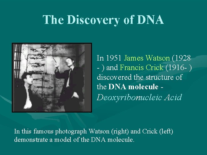 The Discovery of DNA In 1951 James Watson (1928 - ) and Francis Crick