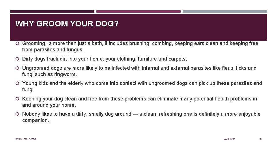 WHY GROOM YOUR DOG? Grooming i s more than just a bath, it includes