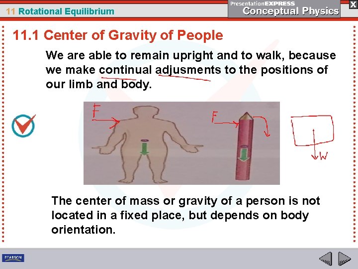 11 Rotational Equilibrium 11. 1 Center of Gravity of People We are able to