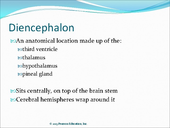 Diencephalon An anatomical location made up of the: third ventricle thalamus hypothalamus pineal gland