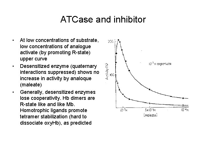ATCase and inhibitor • • • At low concentrations of substrate, low concentrations of
