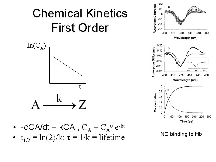 Chemical Kinetics First Order ln(CA) t • -d. CA/dt = k. CA , CA