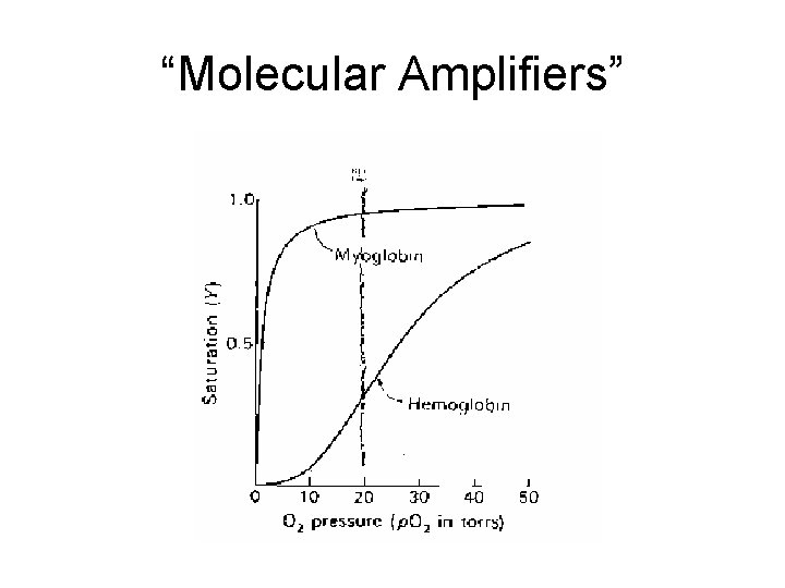 “Molecular Amplifiers” 