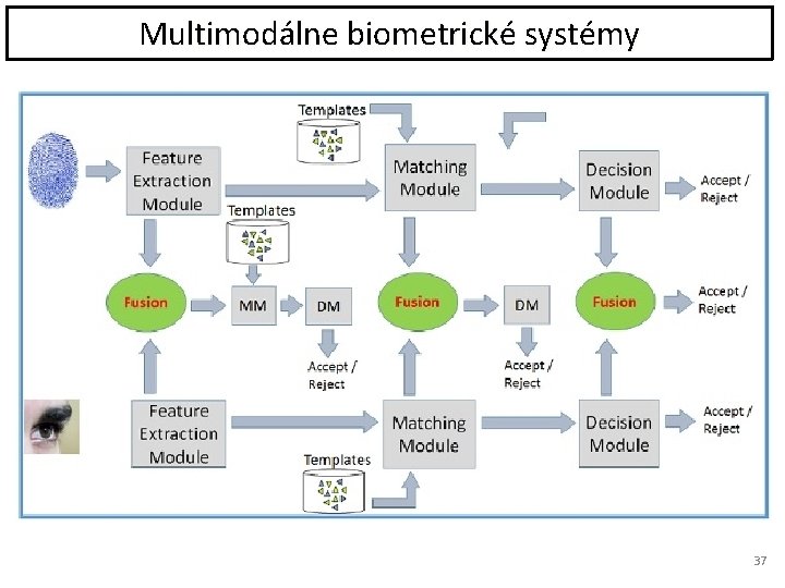 Multimodálne biometrické systémy 37 