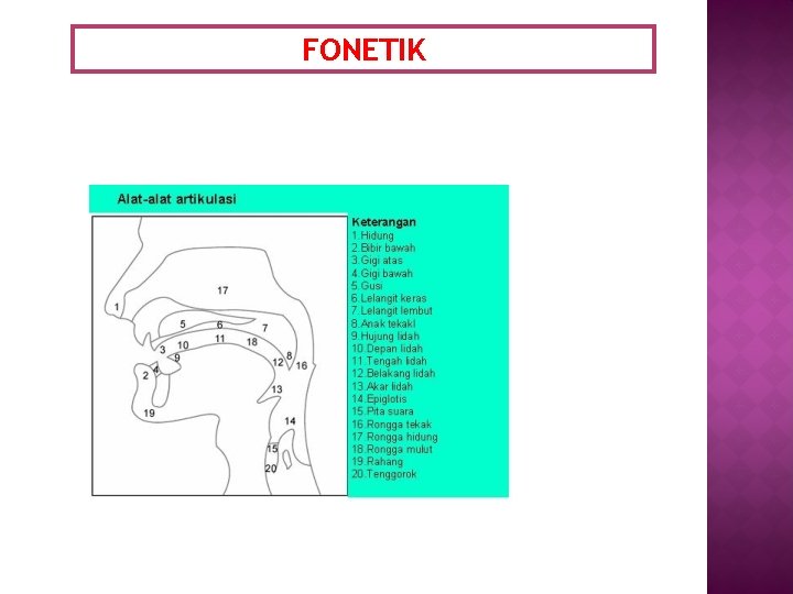 FONETIK 