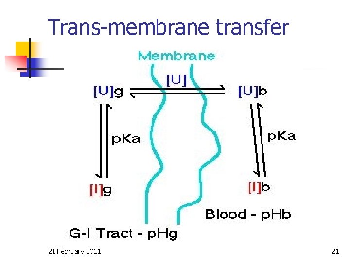 Trans-membrane transfer 21 February 2021 21 