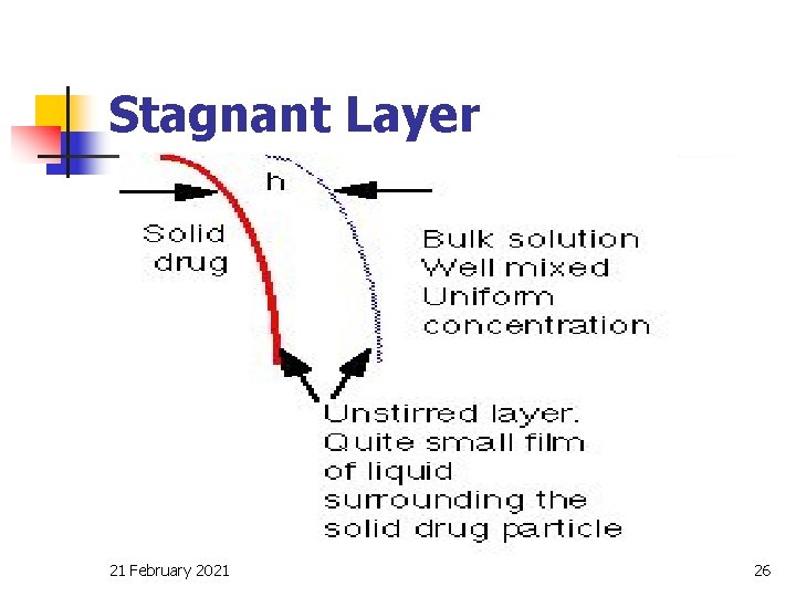 Stagnant Layer 21 February 2021 26 