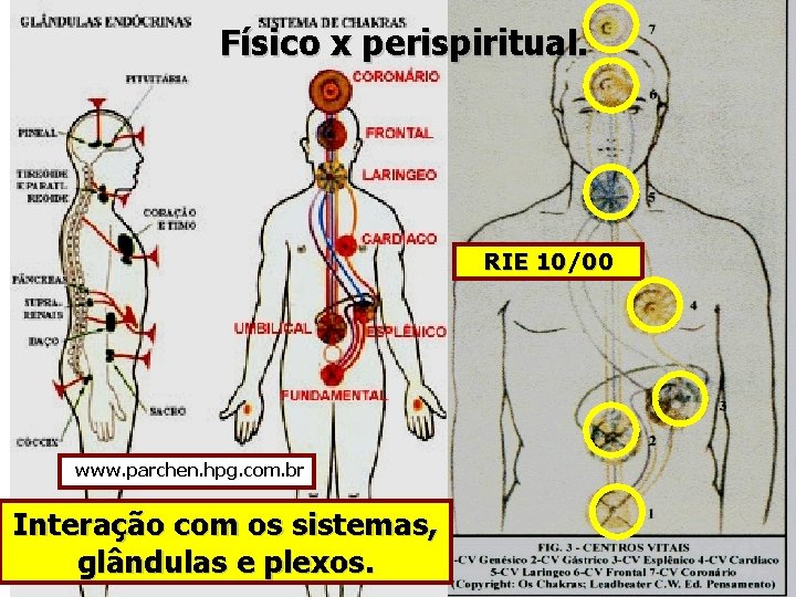 Físico x perispiritual. RIE 10/00 www. parchen. hpg. com. br Interação com os sistemas,