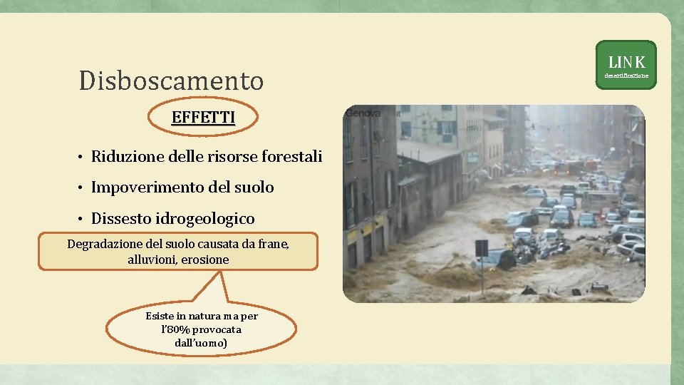 Disboscamento EFFETTI • Riduzione delle risorse forestali • Impoverimento del suolo • Dissesto idrogeologico