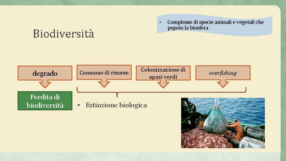  • Biodiversità degrado Perdita di biodiversità Consumo di risorse Complesso di specie animali