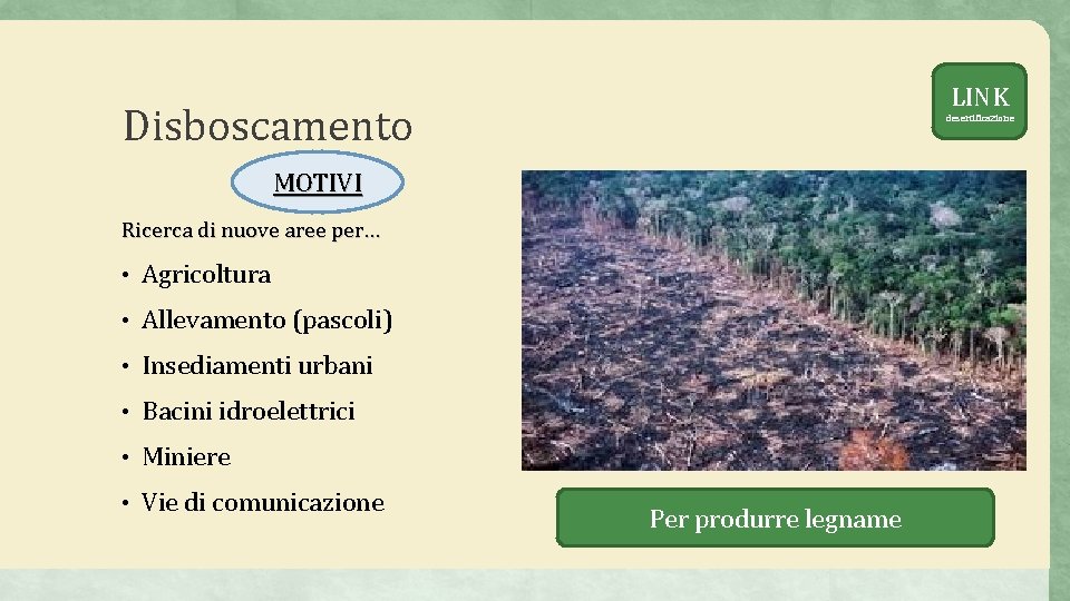 LINK Disboscamento desertificazione MOTIVI Ricerca di nuove aree per… • Agricoltura • Allevamento (pascoli)