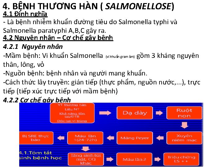 4. BỆNH THƯƠNG HÀN ( SALMONELLOSE) 4. 1 Định nghĩa - Là bệnh nhiễm