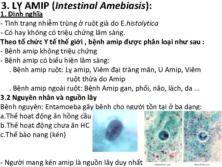 3. LỴ AMIP (Intestinal Amebiasis): 1. Định nghĩa - Tình trạng nhiễm trùng ở