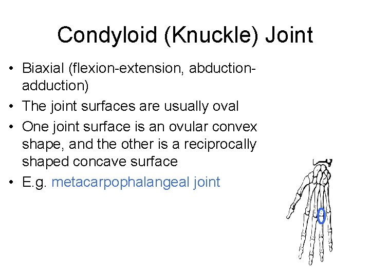Condyloid (Knuckle) Joint • Biaxial (flexion-extension, abductionadduction) • The joint surfaces are usually oval