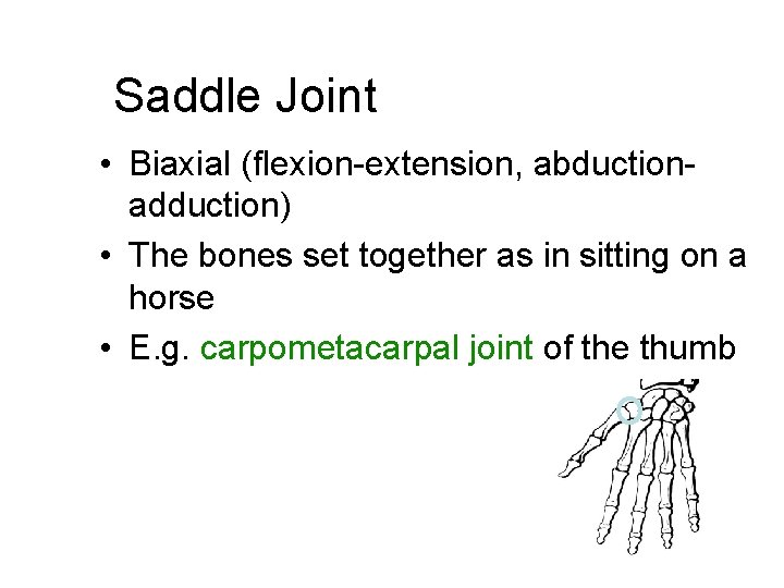 Saddle Joint • Biaxial (flexion-extension, abductionadduction) • The bones set together as in sitting