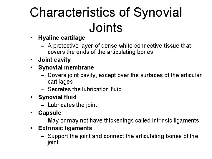 Characteristics of Synovial Joints • Hyaline cartilage – A protective layer of dense white