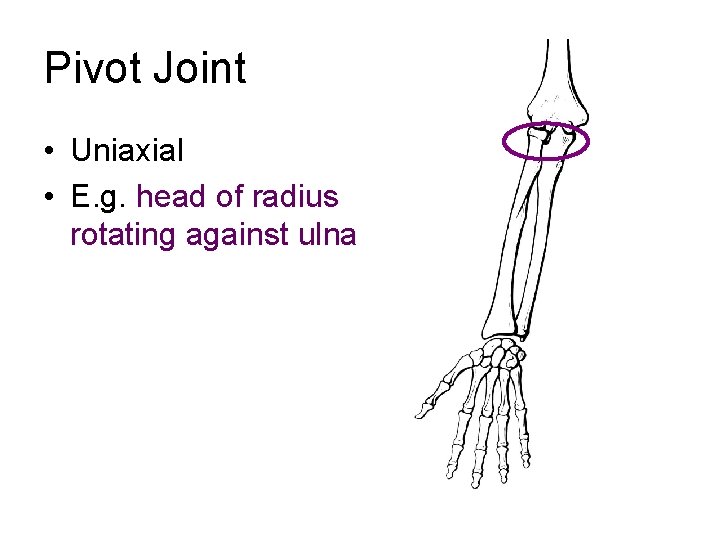Pivot Joint • Uniaxial • E. g. head of radius rotating against ulna 