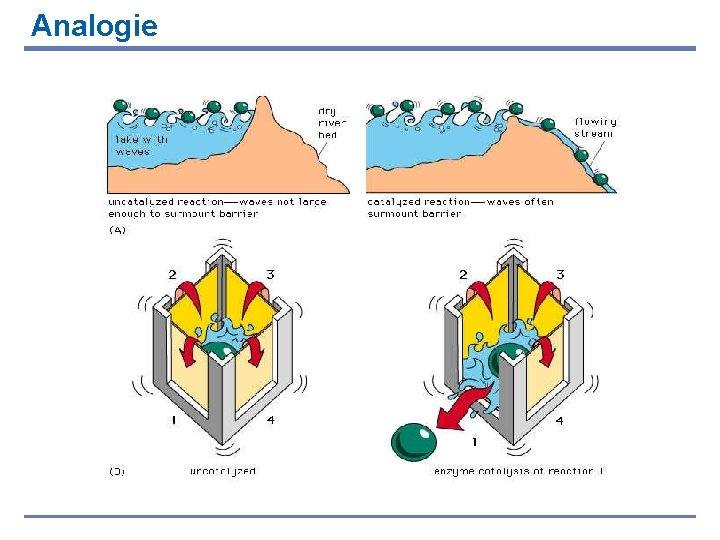 Analogie 