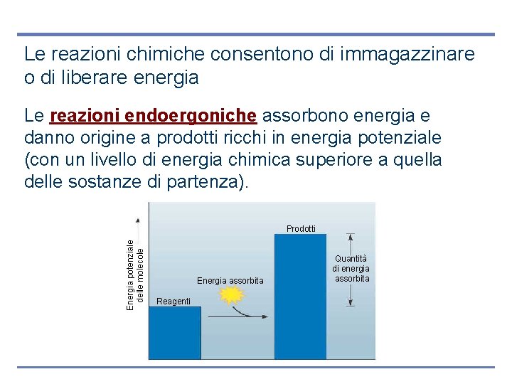 Le reazioni chimiche consentono di immagazzinare o di liberare energia Le reazioni endoergoniche assorbono