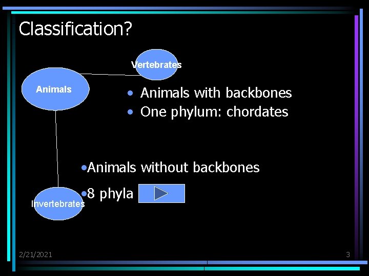 Classification? Vertebrates • Animals with backbones • One phylum: chordates Animals • Animals without