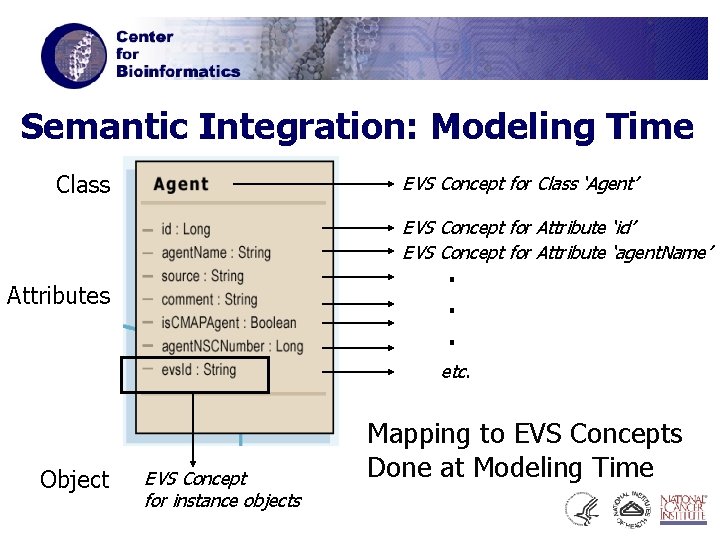 Semantic Integration: Modeling Time Class EVS Concept for Class ‘Agent’ EVS Concept for Attribute