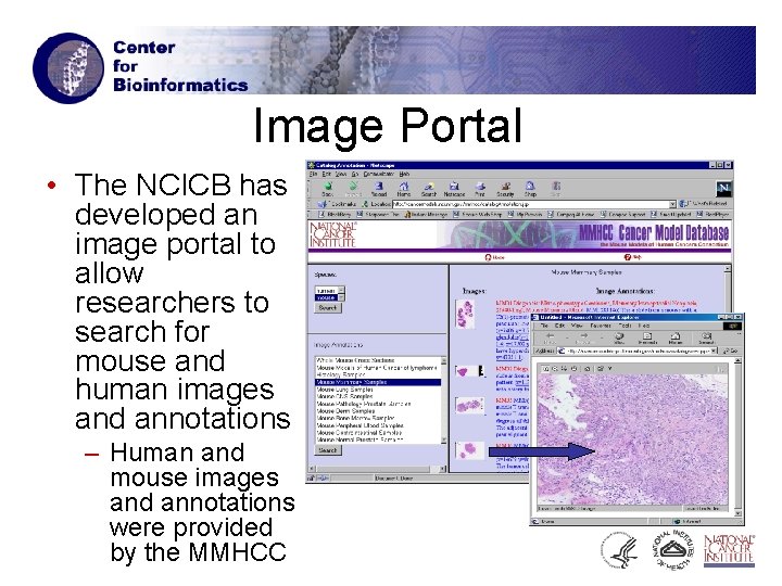 Image Portal • The NCICB has developed an image portal to allow researchers to