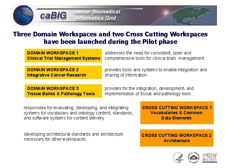 Three Domain Workspaces and two Cross Cutting Workspaces have been launched during the Pilot