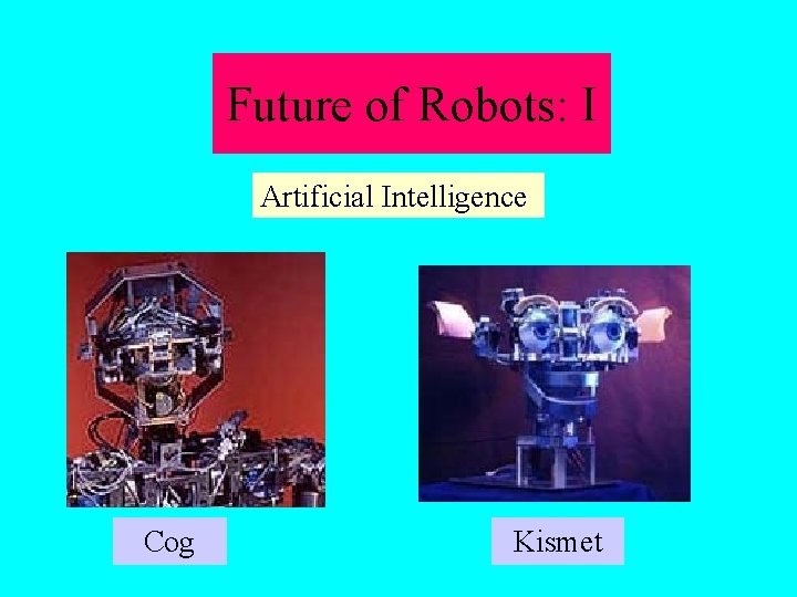 Future of Robots: I Artificial Intelligence Cog Kismet 