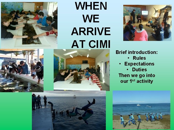WHEN WE ARRIVE AT CIMI Brief introduction: • Rules • Expectations • Duties Then