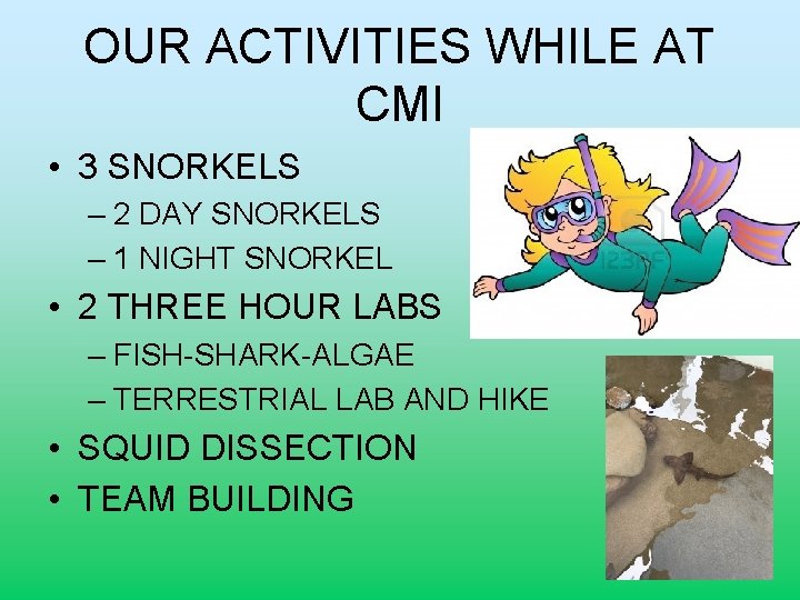 OUR ACTIVITIES WHILE AT CMI • 3 SNORKELS – 2 DAY SNORKELS – 1