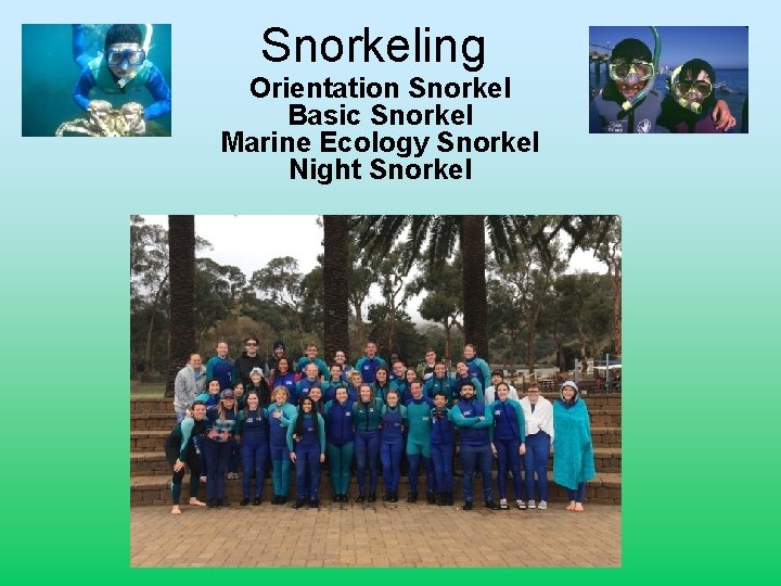 Snorkeling Orientation Snorkel Basic Snorkel Marine Ecology Snorkel Night Snorkel 