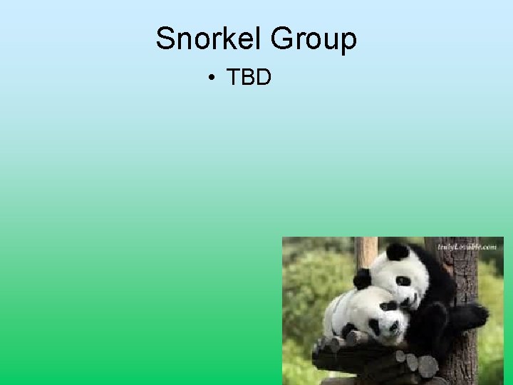 Snorkel Group • TBD 