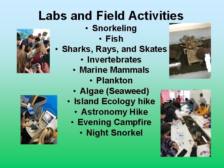 Labs and Field Activities • Snorkeling • Fish • Sharks, Rays, and Skates •