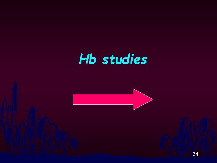 Hb studies 34 