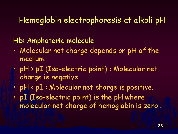 Hemoglobin electrophoresis at alkali p. H Hb: Amphoteric molecule • Molecular net charge depends
