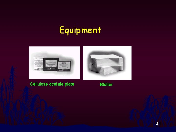 Equipment Cellulose acetate plate Blotter 41 