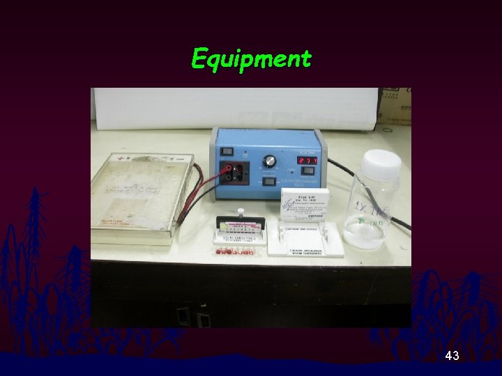 Equipment 43 