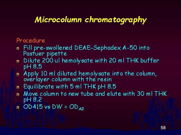 Microcolumn chromatography Procedure n Fill pre-swollened DEAE-Sephadex A-50 into Pastuer pipette n Dilute 200