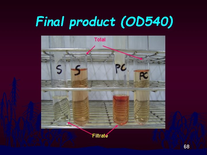 Final product (OD 540) Total Filtrate 68 