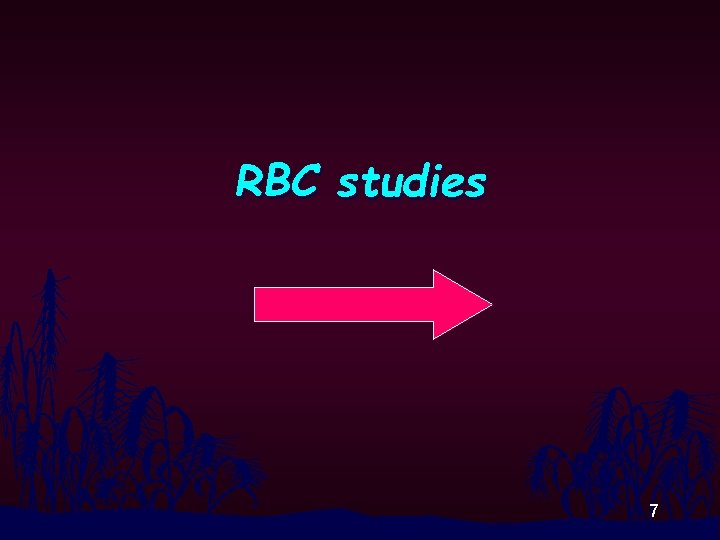 RBC studies 7 