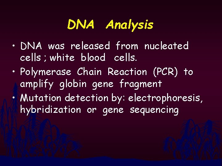 DNA Analysis • DNA was released from nucleated cells ; white blood cells. •
