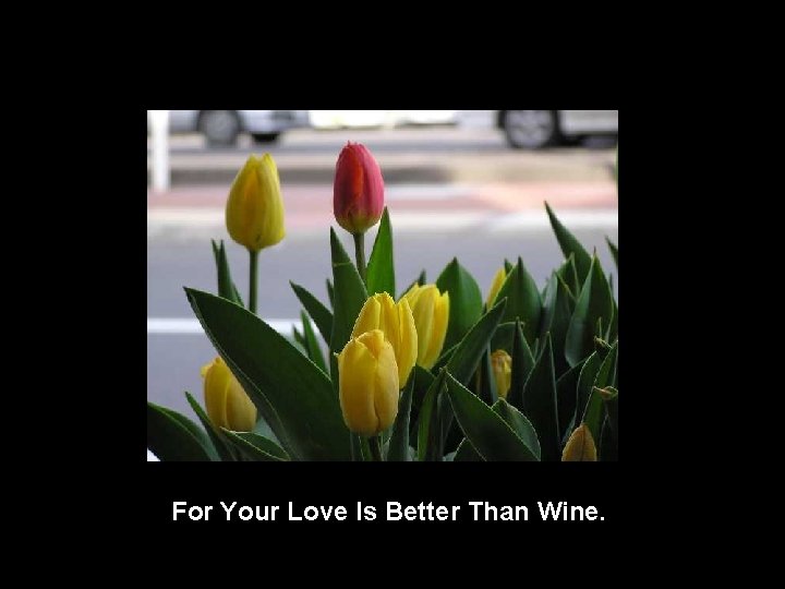 For Your Love Is Better Than Wine. 